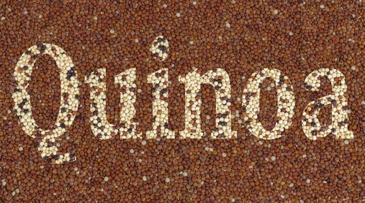 Toda la info sobre el Quinoa, un superalimento