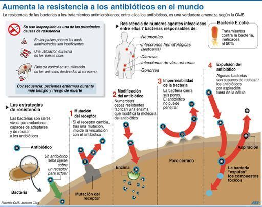 Todo sobre la resistencia a los antibióticos