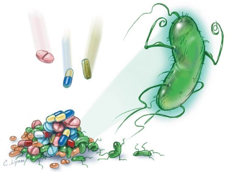 Conoce todo sobre la resistencia a antibióticos y medicamentos