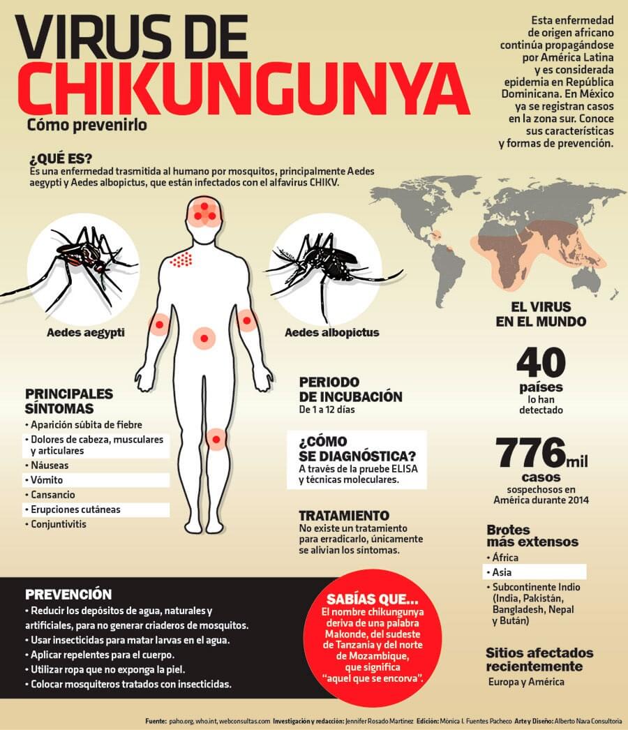 Toda la informacíon sobre el virus chikungunya