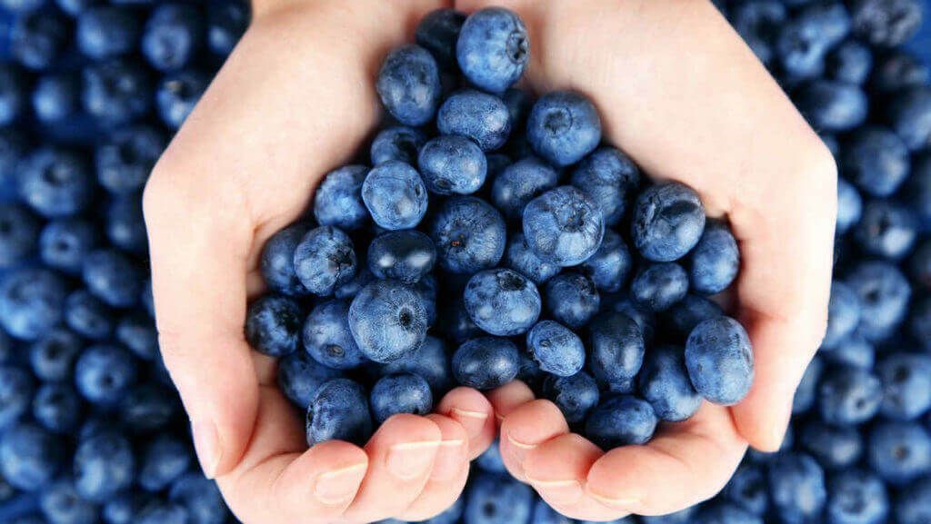 Frutas como los arandanos son buenos en casos de hipertensión