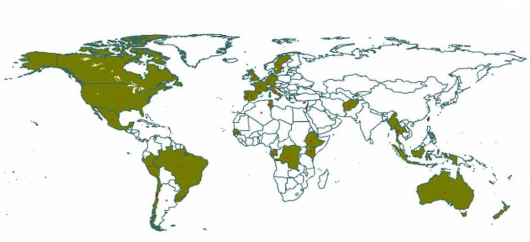 Mapa de riesgo de la Rickettsia en el mundo