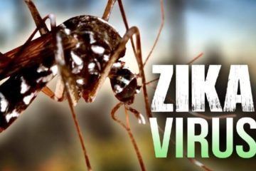 Conoce todo sobre el virus del Zika