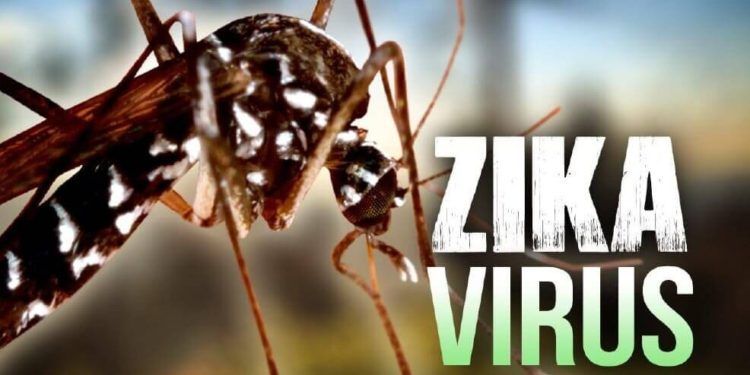 Conoce todo sobre el virus del Zika